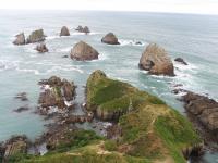 Albums/20060200-New Zealand 2006/20060313-Catlins/73